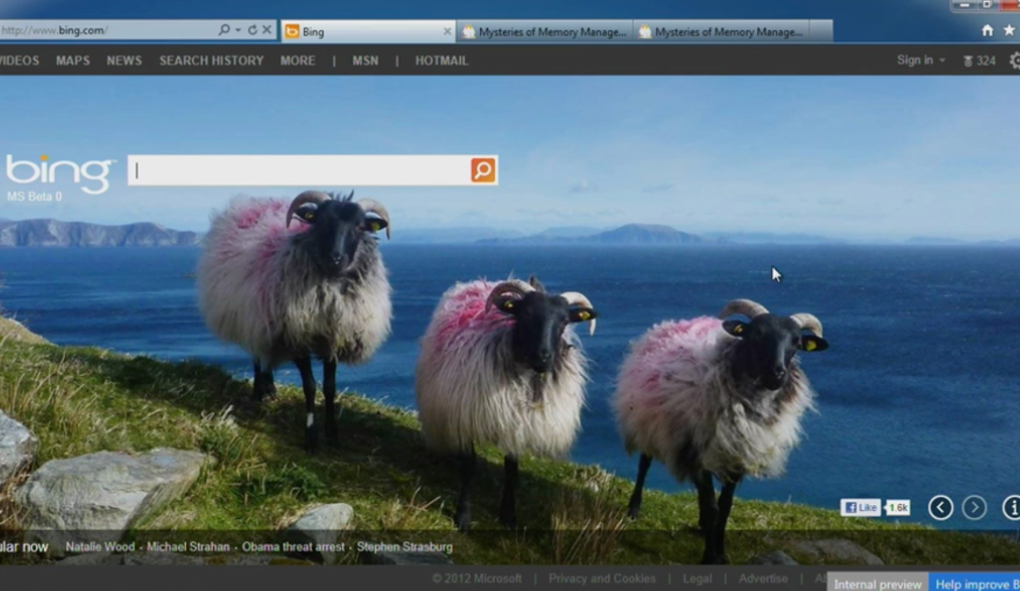 rammap || ram map || rammap download || download rammap